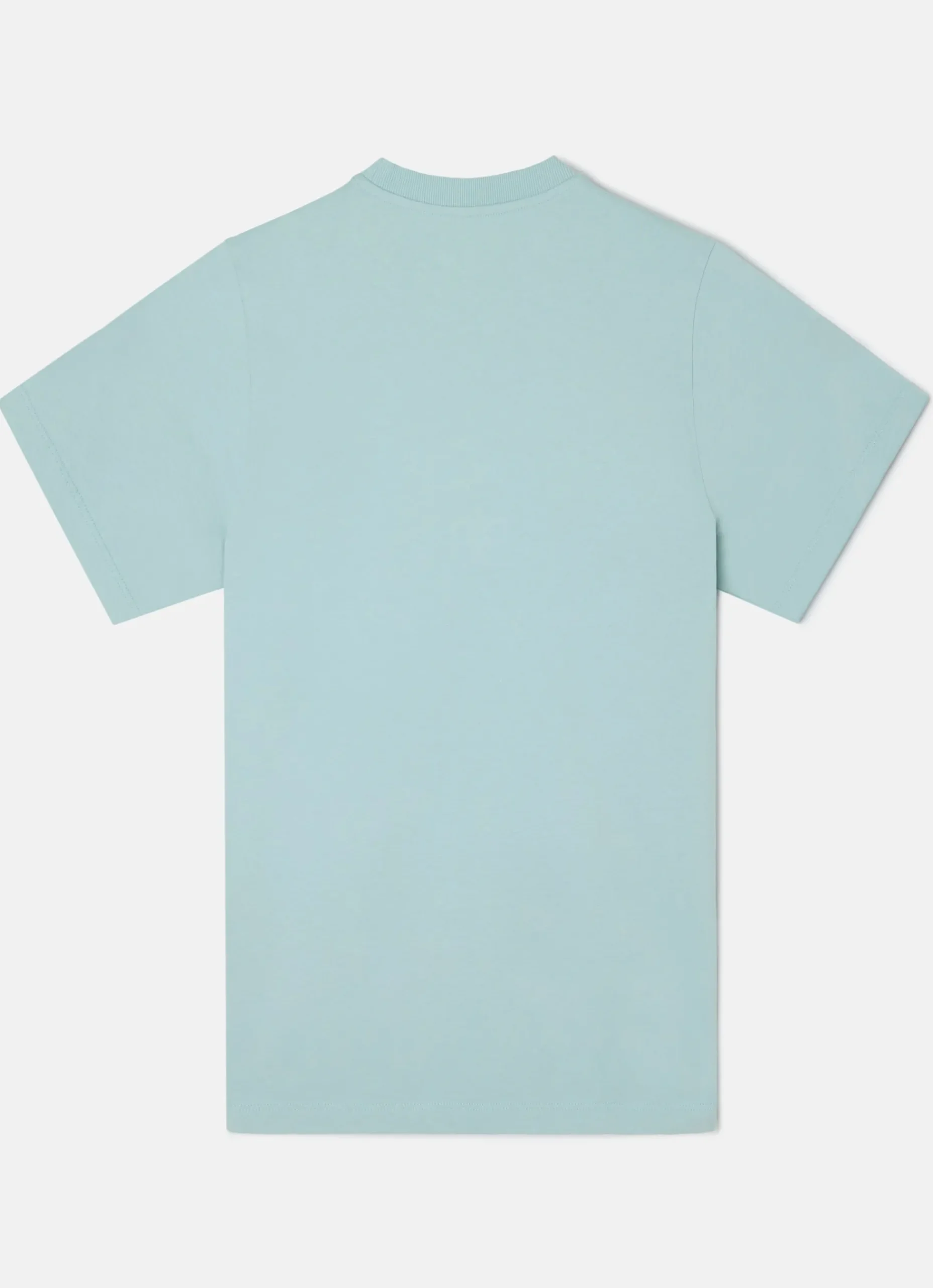 Camiseta everyday style verde