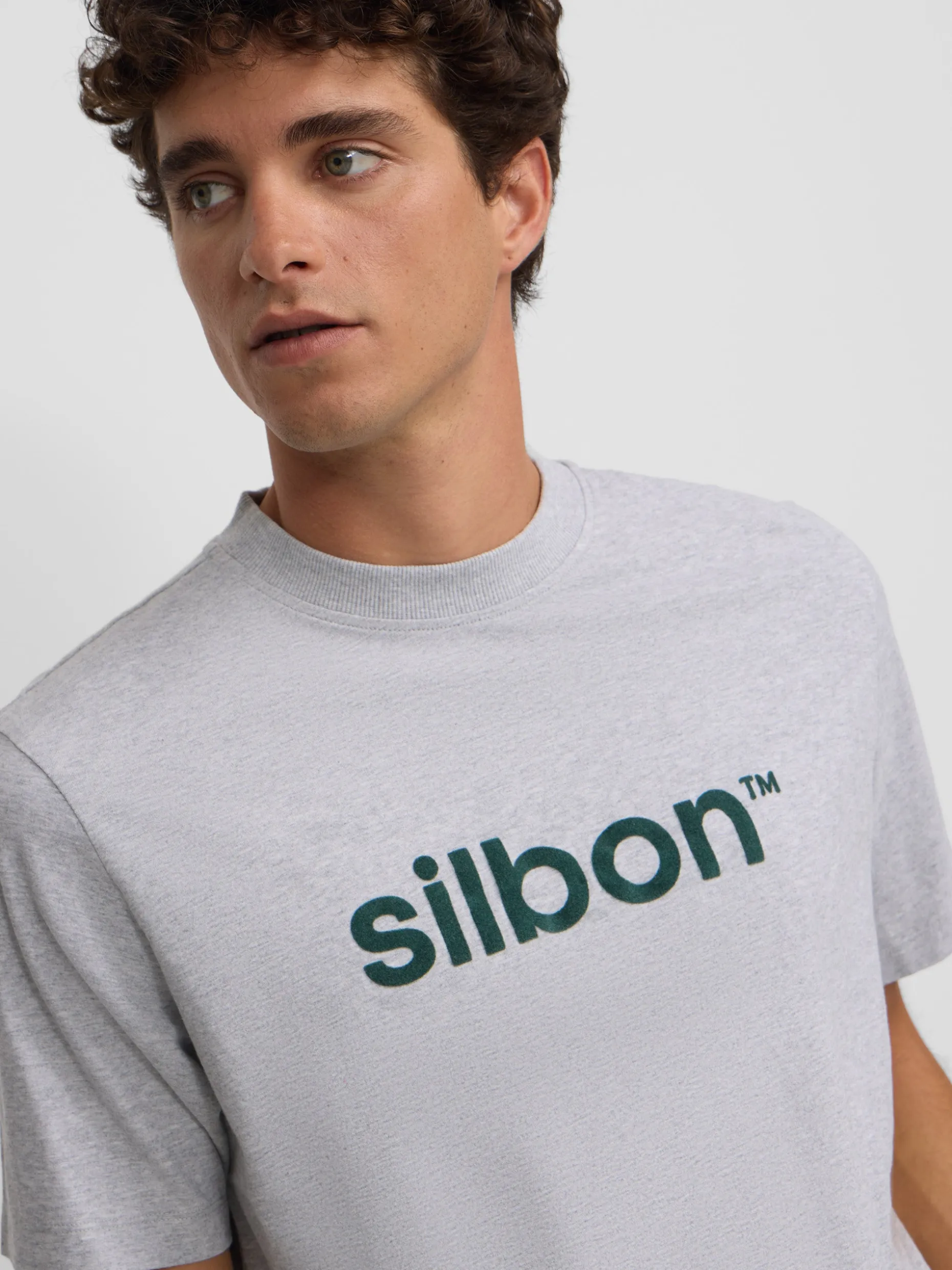 Camiseta silbon flock gris