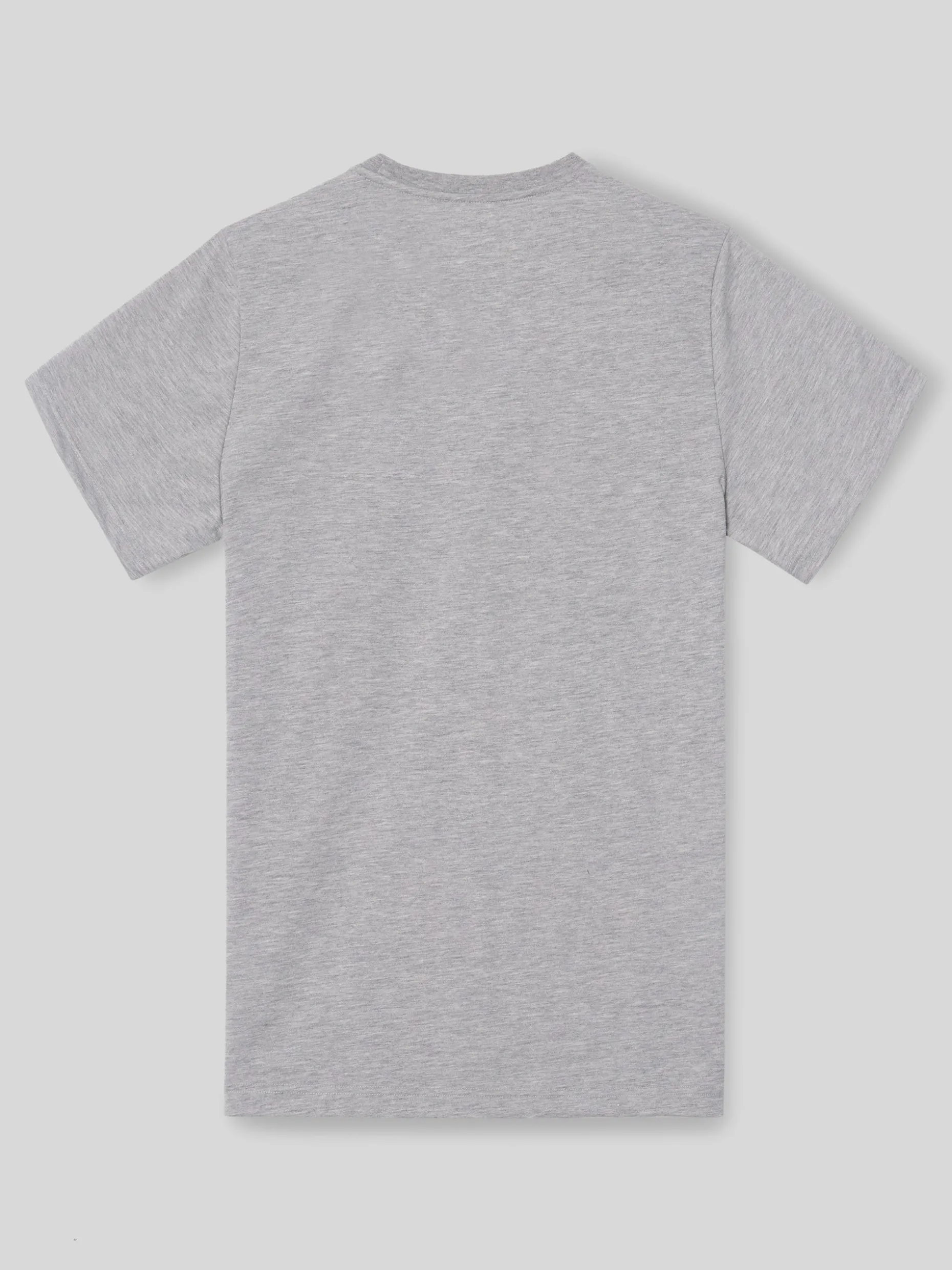 Camiseta silbon minilogo gris