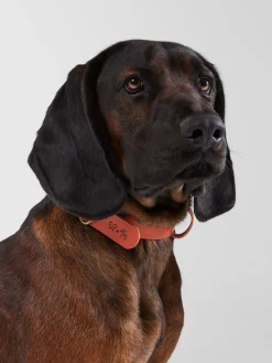 Collar perro SILBONxLADRANGAUCHO cuero
