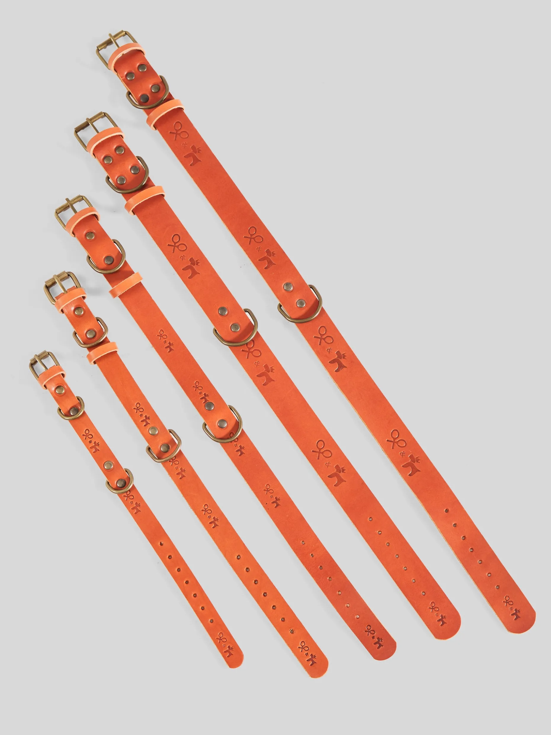Collar perro SILBONxLADRANGAUCHO cuero