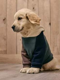Sudadera mascotas hoodie multicolor verde