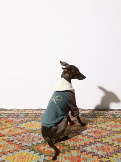 Sudadera mascotas hoodie multicolor verde