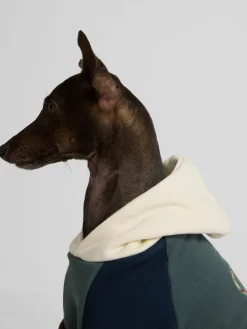 Sudadera mascotas hoodie multicolor verde