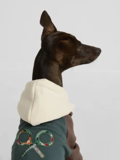 Sudadera mascotas hoodie multicolor verde