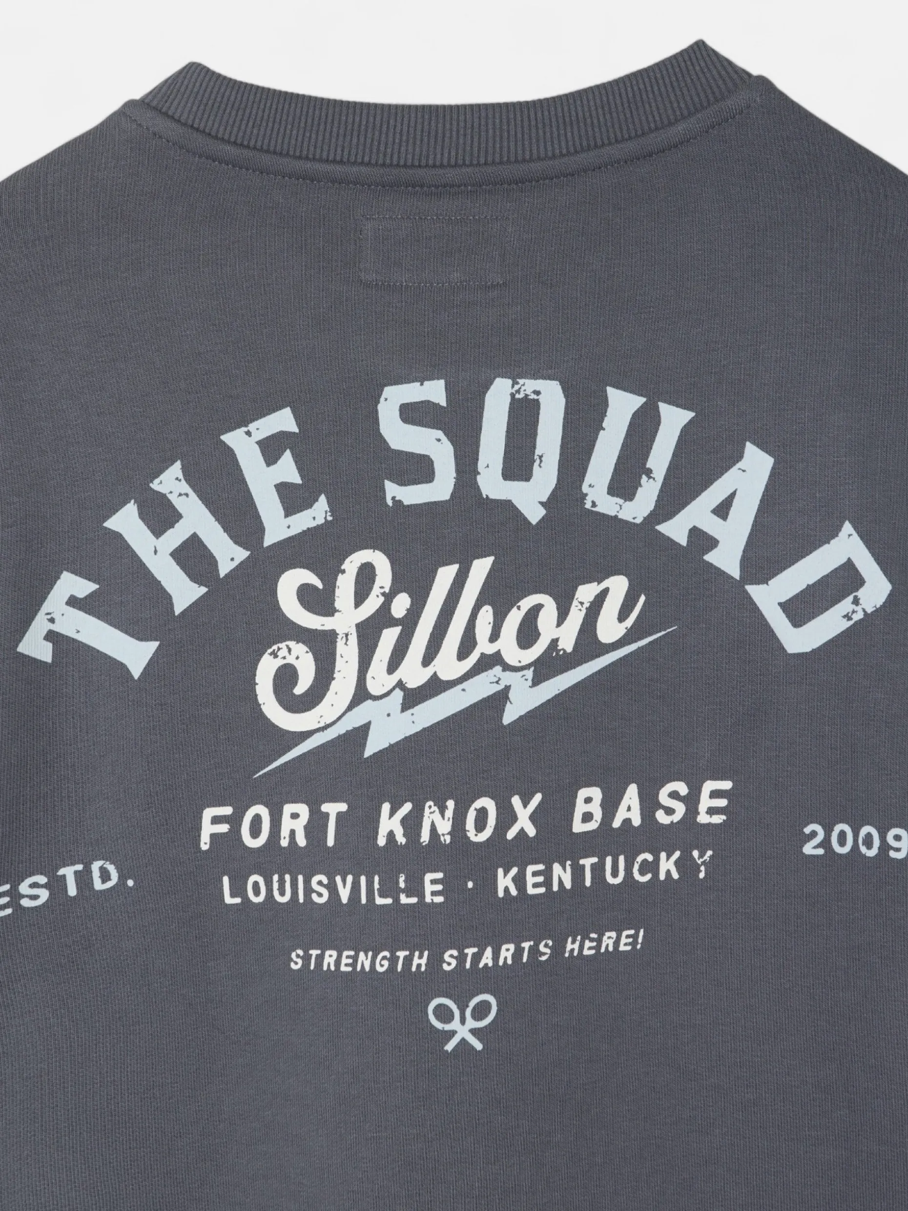 Sudadera the silbon squad gris